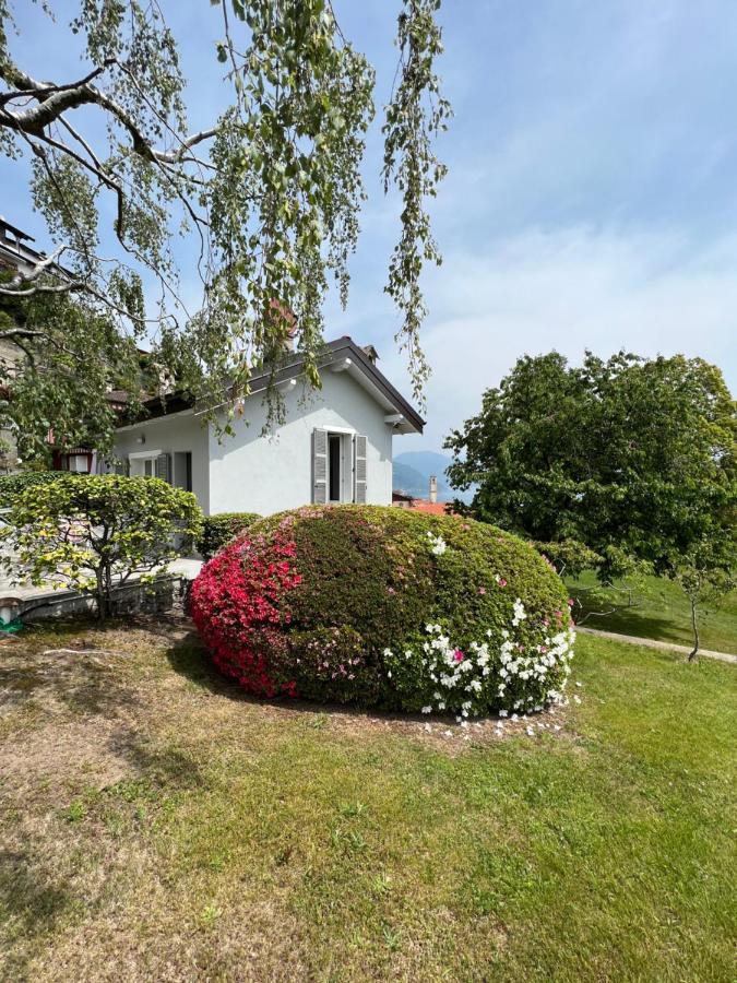 Villa Le Betulle Oggebio Exterior foto